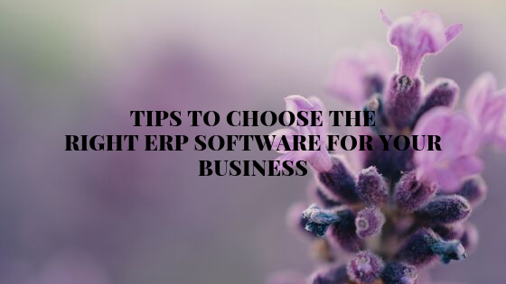 ERP software