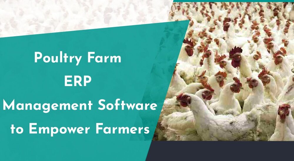 poutry farm management